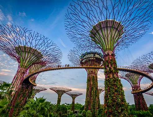 The Best of Singapore