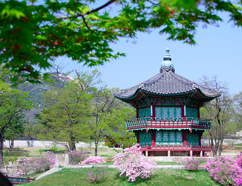 Korea Winter Escape