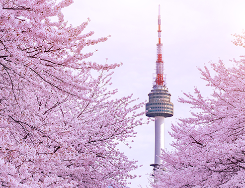 Seoul & Busan - Korea