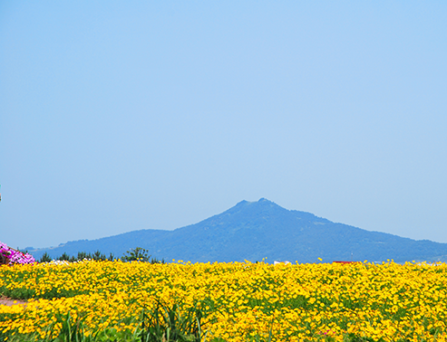 Korea’s Iconic Trio